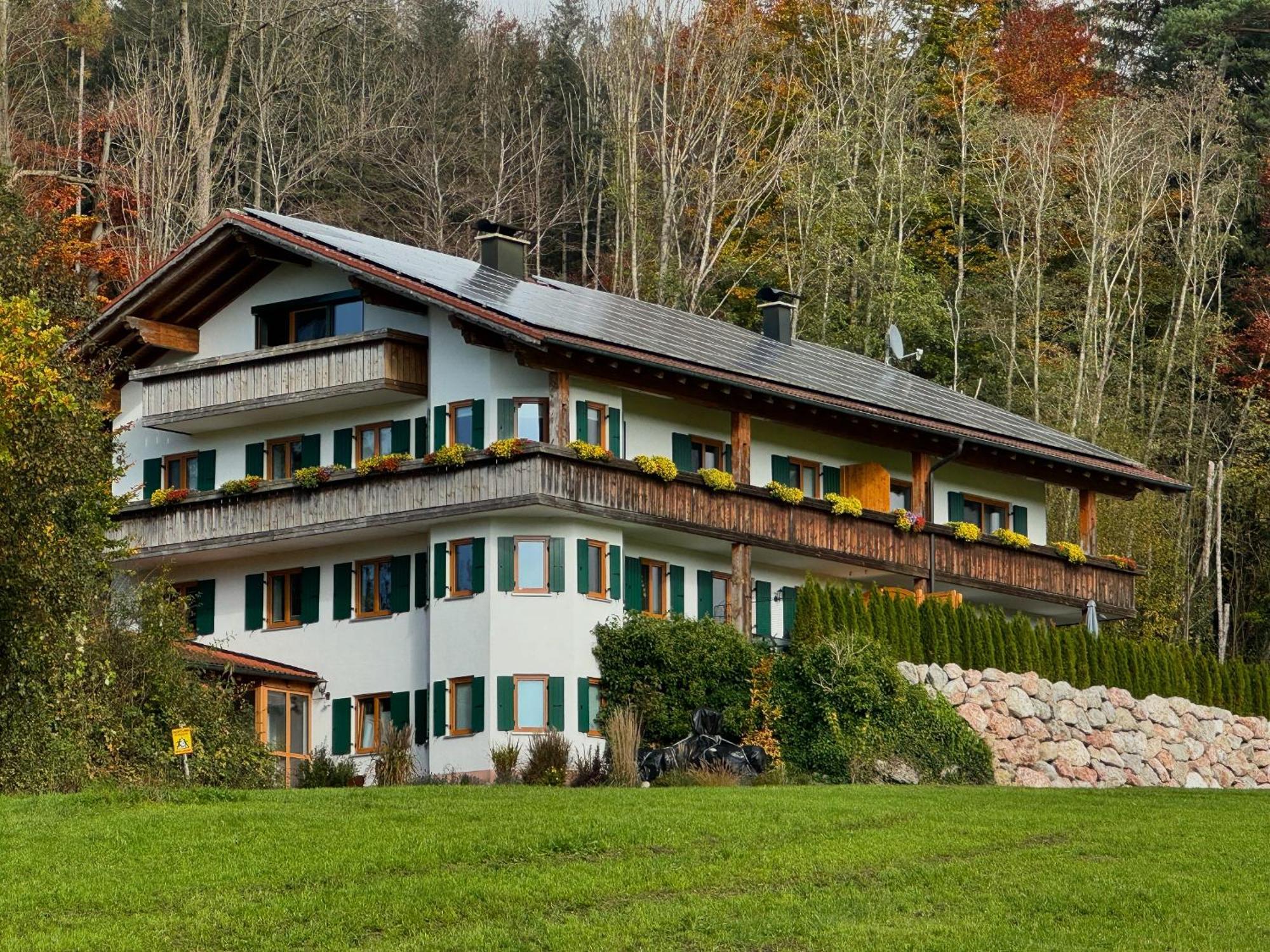 Martin'S Alm Apartamento Friesenried Exterior foto